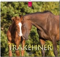 Abbildung von: Trakehner - Stürtz