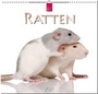 Cover: Ratten - Stürtz