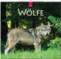 Cover: Wölfe - Stürtz