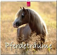 Abbildung von: Pferdeträume - Stürtz