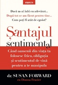 Cover: Santajul sentimental - Litera Media Group