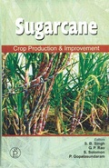 Cover: Sugarcane Crop Production Improment - Studium Press