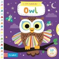 Cover: My Magical Owl - Campbell Books Ltd