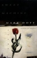 Cover: Sweet Machine - HarperCollins