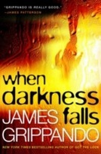 Enlarge image Cover: When Darkness Falls - HarperCollins