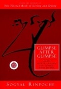 Cover: Glimpse After Glimpse - HarperCollins