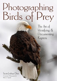 Abbildung von: Photographing Birds of Prey - Amherst Media