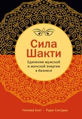 Cover: Shakti Leadership - Mann, Ivanov and Ferber