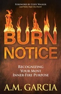 Cover: Burn Notice - Morgan James Faith