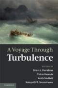 Cover: A Voyage Through Turbulence - Cambridge University Press