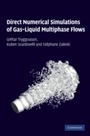 Cover: Direct Numerical Simulations of Gas-Liquid Multiphase Flows - Cambridge University Press