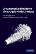 Cover: Direct Numerical Simulations of Gas-Liquid Multiphase Flows - Cambridge University Press
