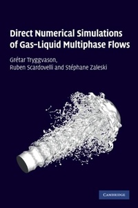 Enlarge image Cover: Direct Numerical Simulations of Gas-Liquid Multiphase Flows - Cambridge University Press