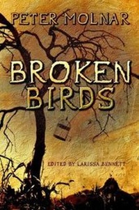 Enlarge image Cover: Broken Birds - Stitched Smile Publications