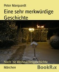Cover: Eine sehr merkw&uuml;rdige Geschichte - BookRix