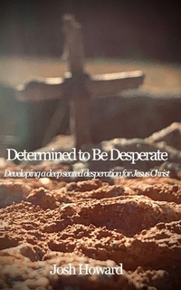 Enlarge image Cover: Determined to Be Desperate - Blurb