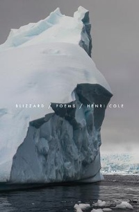 Enlarge image Cover: Blizzard - Farrar, Straus & Giroux Inc