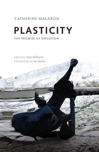 Enlarge image Cover: Plasticity - Edinburgh University Press
