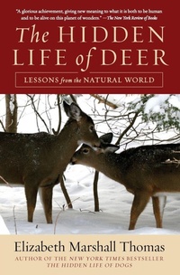 Enlarge image Cover: Hidden Life of Deer - HarperCollins