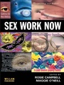 Cover: Sex Work Now - Willan Publishing