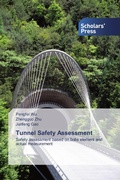 Cover: Tunnel Safety Assessment - Scholars' Press