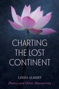 Cover: Charting the Lost Continent - Linda Albert