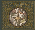 Cover: A Natural History of Fairies - Frances Lincoln Children's Books