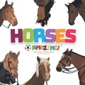 Cover: Horses R Amazing! - R-and-Q.com