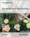 Cover: Das vergessene Dornr&ouml;schen - BookRix