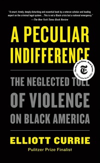 Enlarge image Cover: A Peculiar Indifference - Metropolitan Books