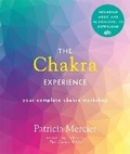 Cover: The Chakra Experience - Pyramid
