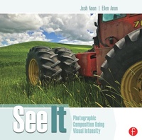 Abbildung von: See It: Photographic Composition Using Visual Intensity - Routledge