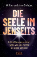 Cover: DIE SEELE IM JENSEITS. Erleuchtung geschieht, wenn von uns nichts als Liebe &uuml;brig ist - AMRA Verlag