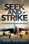 Cover: Seek and Strike - Air World
