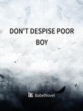 Cover: Don't Despise Poor Boy - Funstory