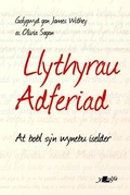 Cover: Darllen yn Well: Llythyrau Adferiad - At Bobl Sy'n Wynebu Iselder - Y Lolfa