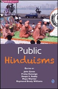 Cover: Public Hinduisms - SAGE Publications India Pvt Ltd