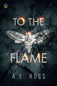 Enlarge image Cover: To the Flame - NineStar Press, LLC