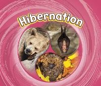 Enlarge image Cover: Hibernation - Raintree