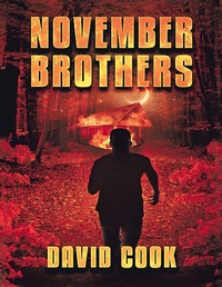 Enlarge image Cover: November Brothers - Lulu Publishing Services