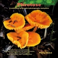 Cover: Phrotose - Austin Macauley Publishers