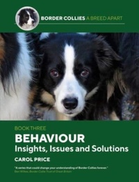 Enlarge image Cover: Behaviour: INsights, Issues and Solutions - First Stone Publishing