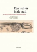Cover: Een walvis in de stad - Lipsius Leuven