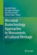 Cover: Microbial Biotechnology Approaches to Monuments of Cultural Heritage - Springer