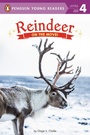 Cover: Reindeer - Bantam Books
