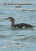 Cover: The Birds of Herefordshire 2018: 68 - Herefordshire Ornithological Club