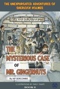 Cover: The Mysterious Case of Mr Gingernuts - EVA BOOKS