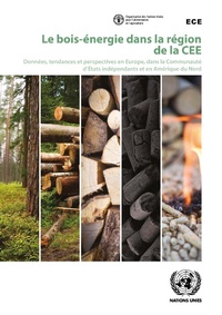 Abbildung von: Le bois-énergie dans la région de la CEE - United Nations