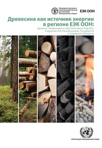 Abbildung von: Wood Energy in the ECE Region (Russian language) - United Nations