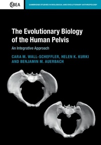 Bild: The Evolutionary Biology of the Human Pelvis - Cambridge University Press